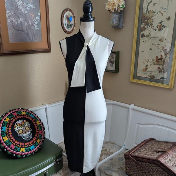 Cache Black and White Color Block Bodycon Dress - Picture 1 of 4